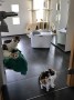 Yuko,Marco,Tina 2_IMG_6312